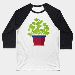 Groovy little coriander plant Baseball T-Shirt